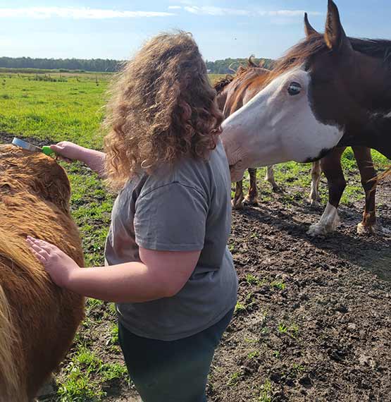 young woman brushing a horse in pasture while another horse is sniffing her shoulder
