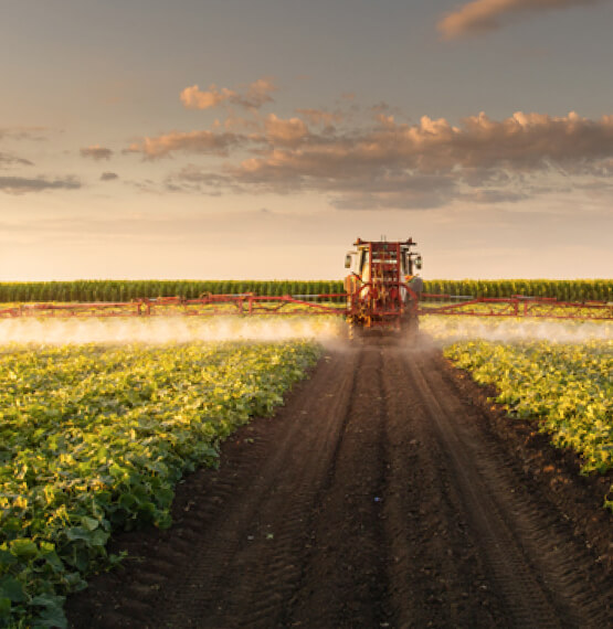 Field with farm equipment 