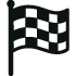 checkered flag icon