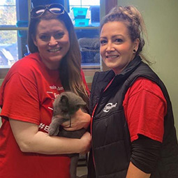Amanda and Lyndsey holding kitten when volunteering at New Life Pet Adoption for Employee Giving Week