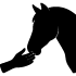 silhouette icon of a hand reaching out to touch a horse's nose