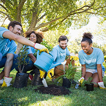 group of volunteers planting tree and plants