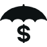 umbrella over dollar sign 